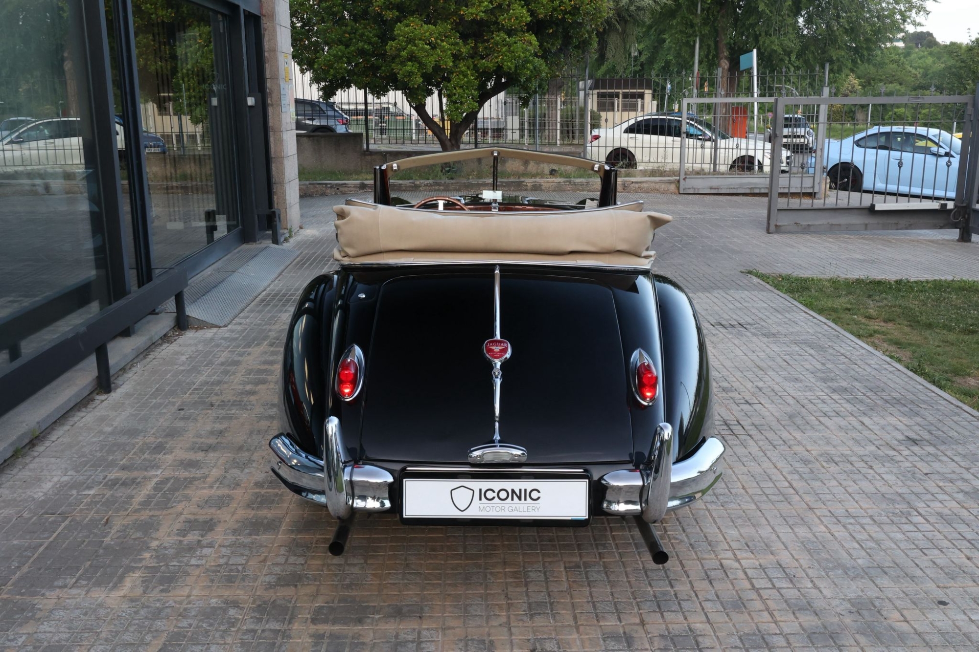 JAGUAR XK 140