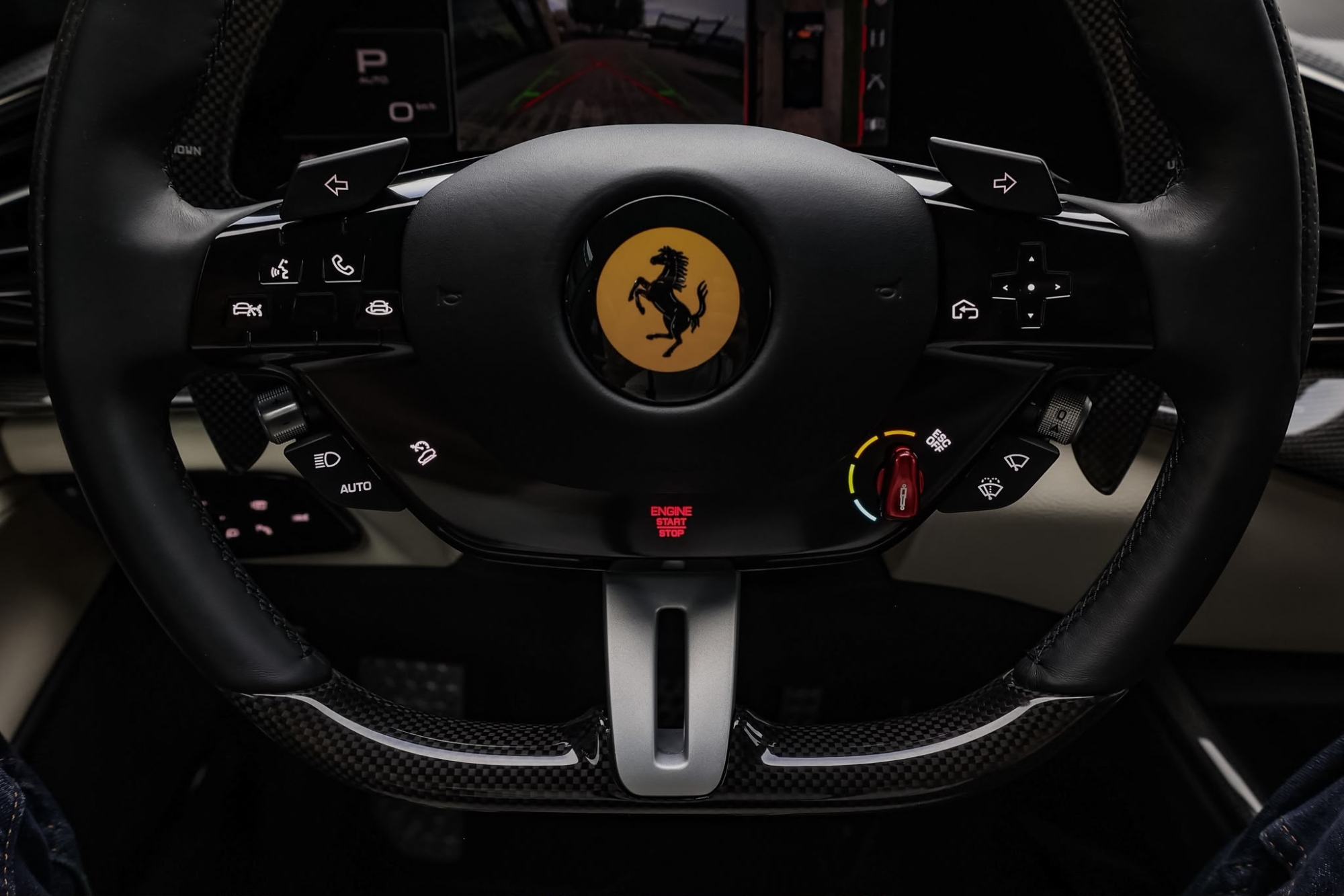 FERRARI PUROSANGUE V12