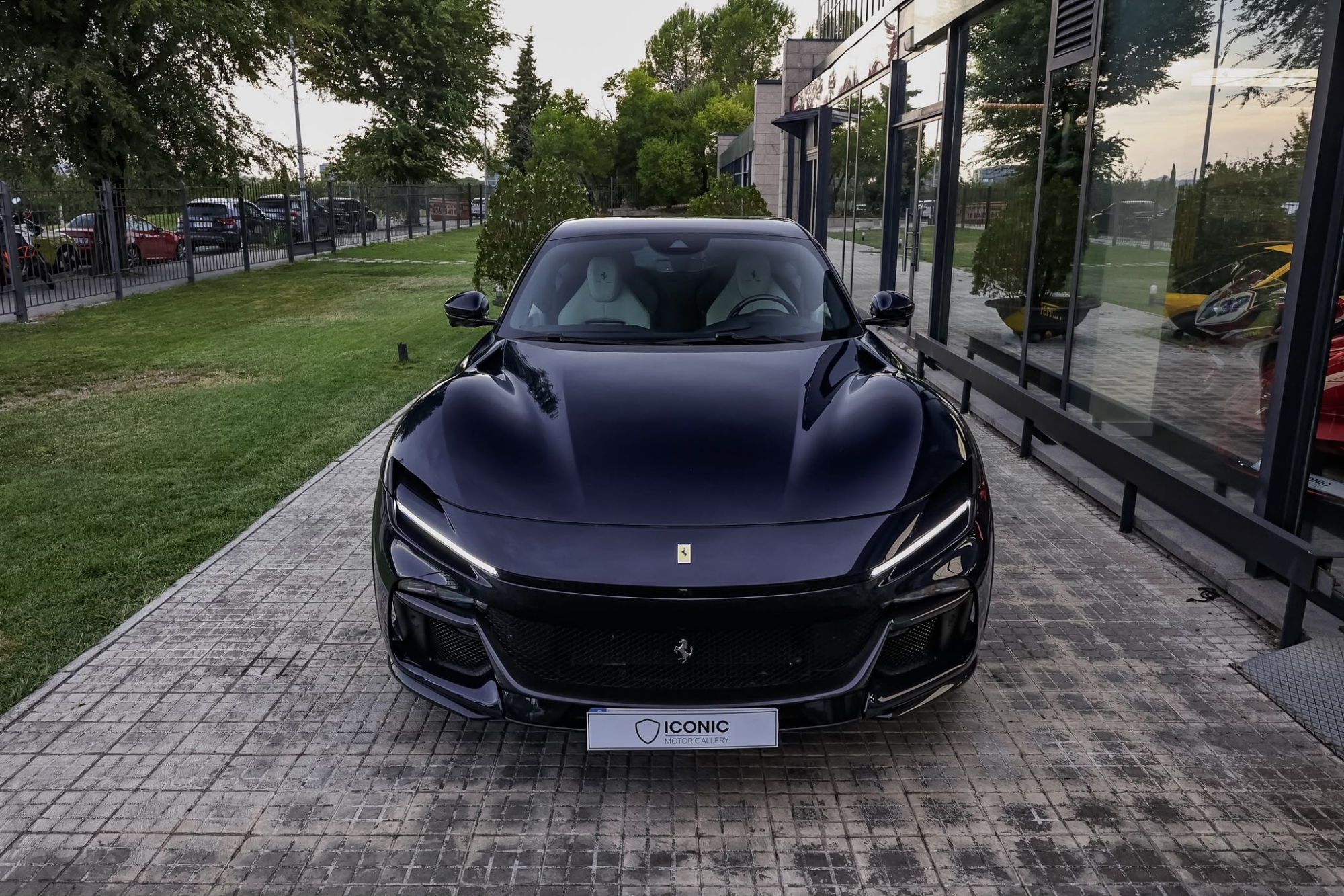 FERRARI PUROSANGUE V12