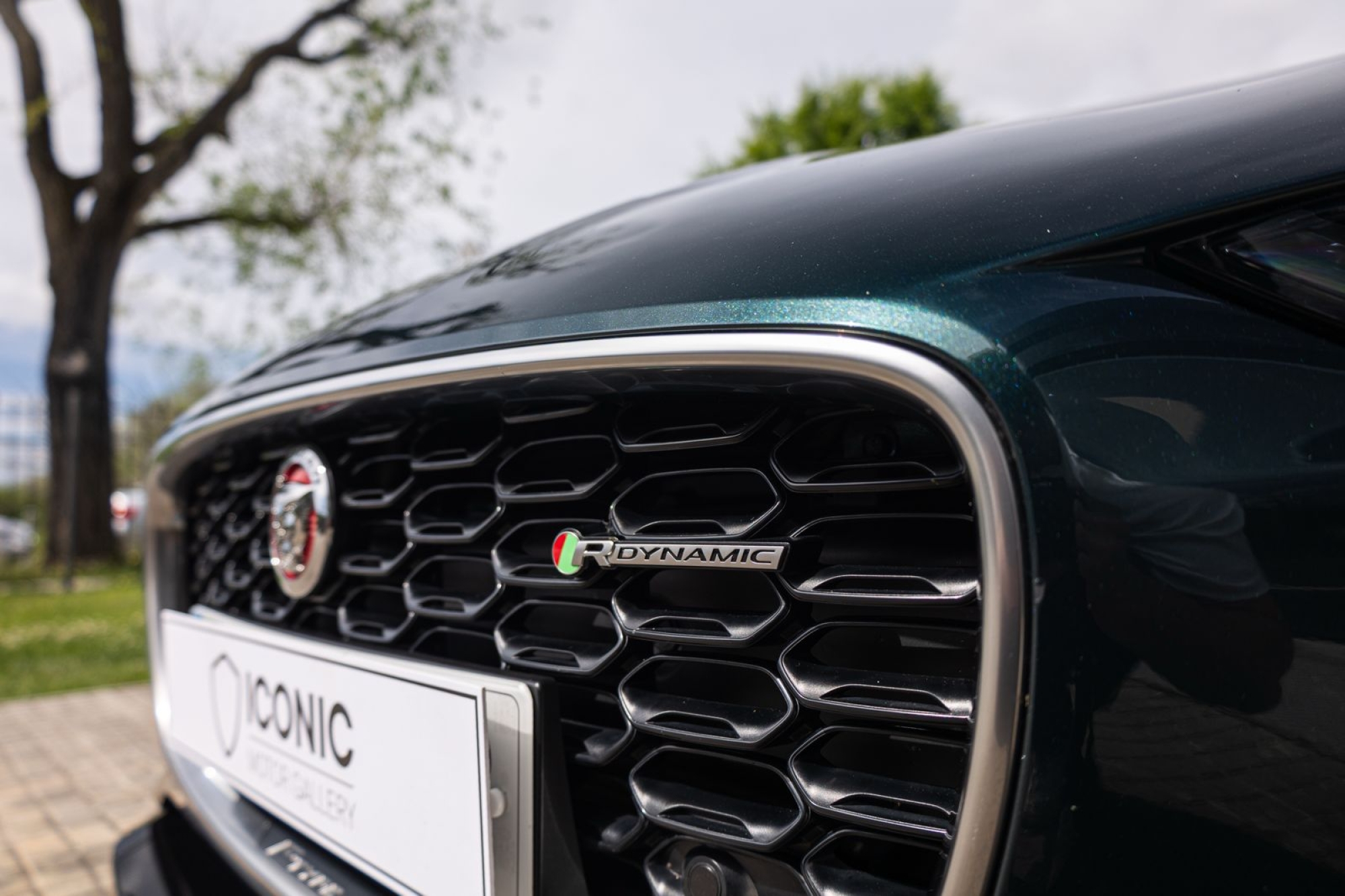 JAGUAR F-TYPE RDYNAMIC CABRIO